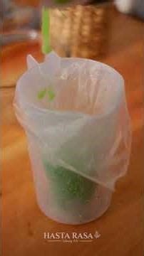 Traditional Homemade Cendol with Natural Pandan Flavor | #SummerDrinks #AsianDessert 🥥✨