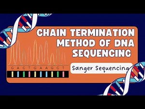 Sanger Sequencing | Principle, Steps & Applications