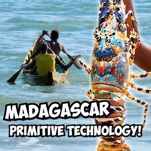 3.6M views · 73K reactions | Madagascar's Giant Seafood! 咽 | Best Ever Food Review Show | Facebook