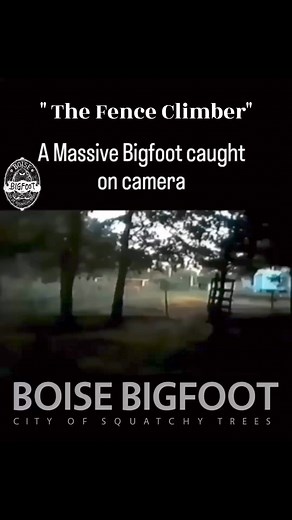 83K views · 1.2K reactions | “ The Fence Climber.”...