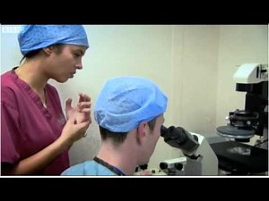 IVF and ICSI demonstrated and explained -- Bang Goes The Theory