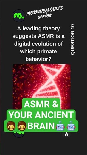 An Evolutionary Perspective on ASMR #shorts
