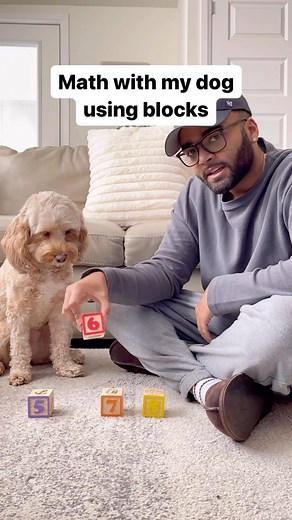 Luna The Mini Cockapoo on Instagram: "It’s the way she follows along for me… 👀😍 #dogsofinstagram #smartdog #cockapoo"