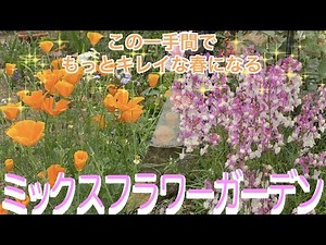 これだけで！もっとキレイになります‼︎ミックスフラワーガーデン