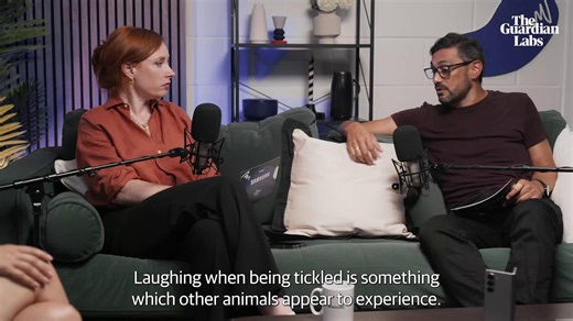 314K views · 1.4K reactions | Ever wondered what noise a rat makes when it is tickled ? Well Hannah Fry, Adam Rutherford and Emma Dabiri have the answer as they unpack animal laughter and the formula to being funny in a new vodcast episode. | The Guardian | Facebook