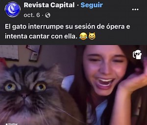 Cat Singing Opera: Funny and Heartwarming Videos