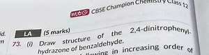 CBSE Champion Chemistry Class 12 LA (5 marks) (i) Draw structu... | Filo