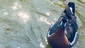 6.4K views · 114 reactions | Timeline cleanse: Enjoy this sparkling...