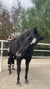 Whisper is so into this butt scratch that her lips are quivering! | The Gentle Barn