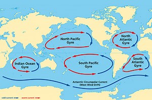 Major ocean gyres, world map. The five most notable ocean gyres,...