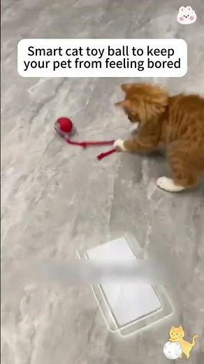 Interactive Electric Cat/Dog Ball Auto-Rolling Dog/Cat Toy w/ USB Charging #cat #turkishcat #pets