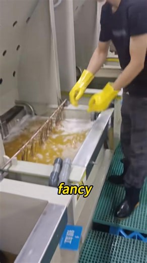 If gold looks too cheap… it’s probably fake#GoldScam#ScamAlert#FakeJewelry#HowItsMade#exposed | Colt Science | Facebook