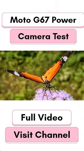 Moto G67 Power camera test | camera quality review