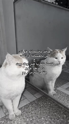 ‏💐#fyp #zakho #RAIN