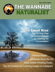 The Wannabe Naturalist Magazines: Through The Lens of a Photographer • The Wannabe Naturalist ®