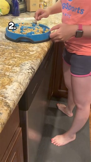 122K views · 6.3K reactions | Here are the Top 5 dinner dances of all time! Get 60% off your first order of The Farmer's Dog below 李 #ad https://bit.ly/3p3SABm | We Rate Dogs | Facebook