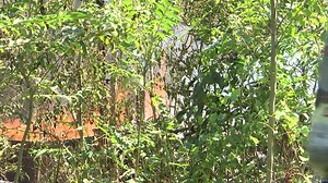 Seasonal burn ban now in effect for Madison, 11 other Alabama counties