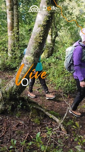 Lleva la comodidad contigo. Sillas y muebles outdoor con precios especiales 🏞️🛒 ✨ ¡Aprovecha en Doite.cl! | Doite Chile