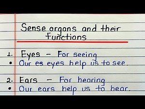 Sense organs and their functions | Sense organs name | Name 5 Sense organs functions