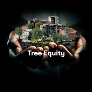 Tree Equity isn't just about planting trees, it's about creating...
