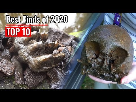 Top 10 Finds Fossil Hunting in 2020