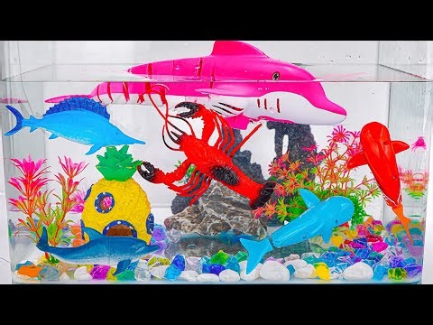 [🐠Toy asmr🐬] RC Dolphin & Robo Fish Swimming Aquarium Playset ASMR | Satisfying Unboxing