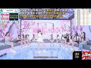 KBJ Korean Live |Dance Performance #jinricp #pandaclass #jinricpcompany #kbj #pandalive