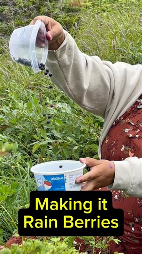 Fall means Harvesting Alaska Berries in this Family the Kids did way better than me! #alaska #blueberries #indigenous #hiking #berrypicking #berries | Alaska Living the Dream Fishing and Outdoors