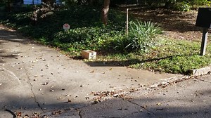 Watch The way amazon delivered our products! on Amazon Live