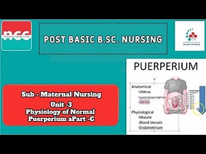 P.B. B.Sc.(N) 1: Maternal Nursing - Unit 3 (Part C) : Physiology of Normal Puerperium