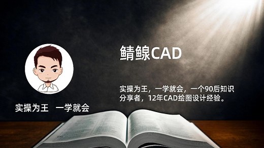 CAD中对齐操作命令视频教程