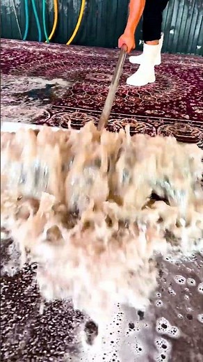 Carpet Cleaning That Feels Like Therapy