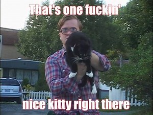 187K views · 4.8K reactions | BUBBLES WANTS YOUR KITTIES! Submit a video of your furry friend to blog.swearnet.com/kitty, and it could be featured on the Trailer Park Boys Podcast! | Trailer Park Boys | Facebook