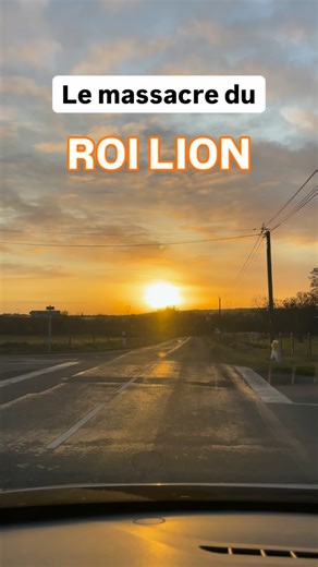 Corentinfirmier Run on Instagram: "LE MASSACRE…. 🦁🥲🫣 Du Roi Lion… par @corentinfirmierun ! Il y a des matins où le lever de soleil est inspirant… où l’envie de chanter est plus forte que la peur de se faire engueuler par celui qui dort encore dans la maison à côté ! Alors tu massacres une chanson, qui sur le papier est magnifique… mais qui, sortie de ta gorge encore endormie est digne des plus grandes parodies ! 🤩 Mais j’assume de massacrer des chefs d’œuvre pour mon plaisir matinal ☕️ #infi