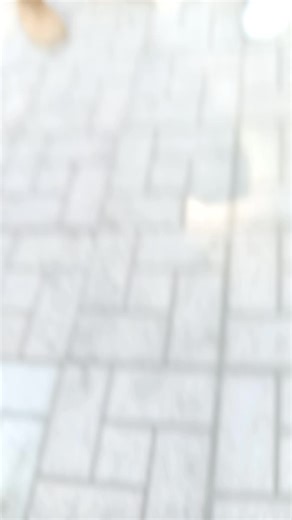 Comical Greetings and Farewells in Everyday Life