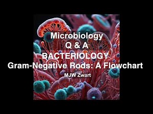 Microbiology Q&A Bacteriology - the World of Gram-Negative Rods: A Flowchart for Identification