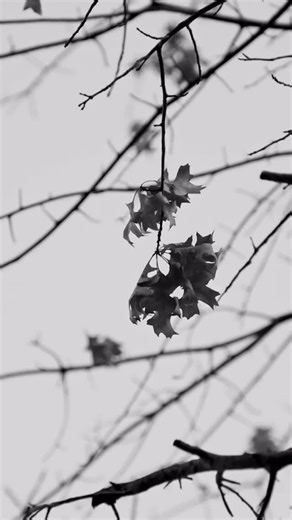 Persona Land | The Connection Art Exhibit features artist Lauren Curtis and the mixed media work “As Above, So Below.” This piece reflects the idea that... | Instagram