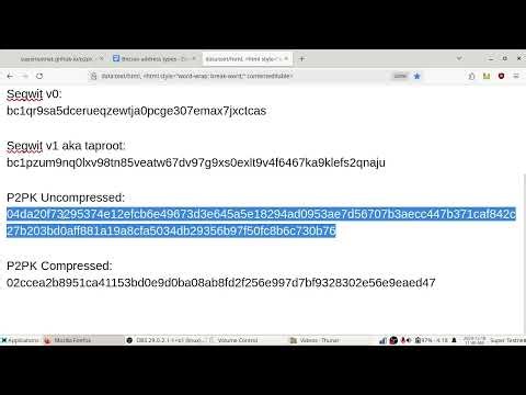 P2PK Playground: Create P2PK outputs on bitcoin and pay someone's raw public key