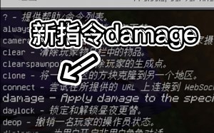 新指令damage我的世界基岩版