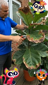 🌿 Plant Identifier - Scan & Care is your smart AI plant guide 🌸 💀 This Día de Muertos season, bring life to your plants just like to your ofrendas 🌼 📸 Instantly identify any plant, 🌱 detect diseases, and 💧get care reminders — all in one app. 🌺 Perfect for those who celebrate life in every leaf and want healthy, vibrant plants! | Plant Identifier - Scan & Care