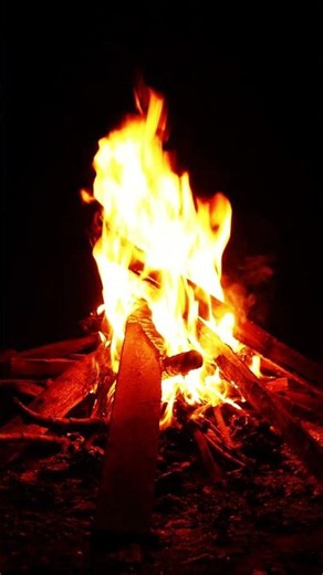 4K Forest Campfire: Relaxing Night Sounds 🔥🌲
