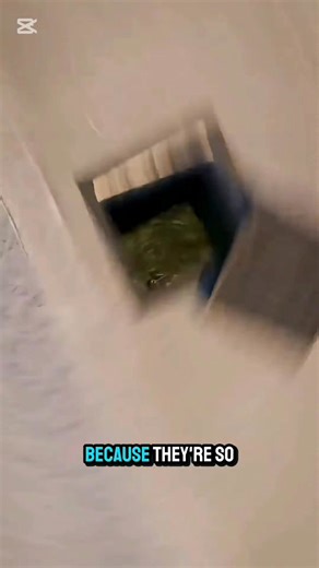 Mambo Ya Ajabu Usioyajua #Fahamu #Kujuakitu #Elimika #salimkamlambo | Salim Kamlambo