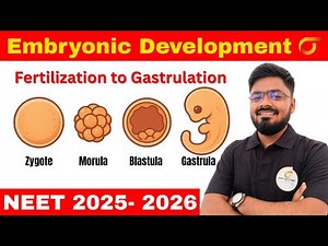 Embryogenesis & Structure of Embryo | Class 12 Biology | NEET 2026