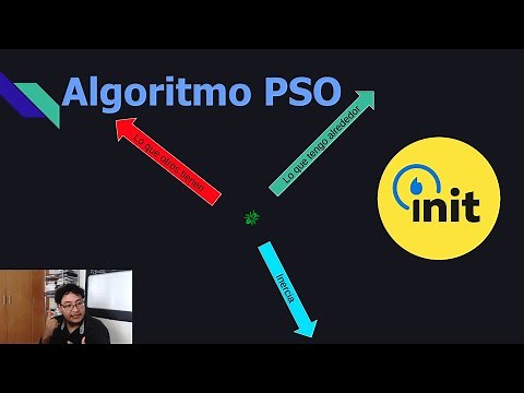 Explanation of Particle Swarm Optimization Algorithm Algorithms in Nature