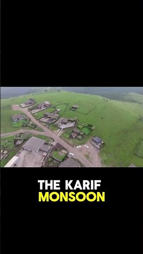 Salalah, Oman Looks Like Another Planet 🌿😳