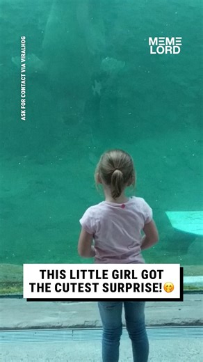 859K views · 10K reactions | The Walrus said “mwah” and left  | Meme Lord | Facebook