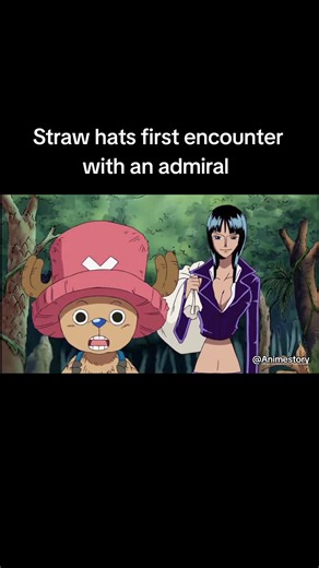 Straw Hat Pirates Meet Admiral Aokiji Encounter