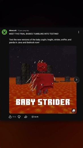 The final features of Spring Drop 2026