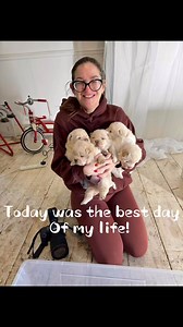 The best day ever! 5 beautiful Chow Chos puppies! I didn’t want to let them go! | Lisa McCormick Photography