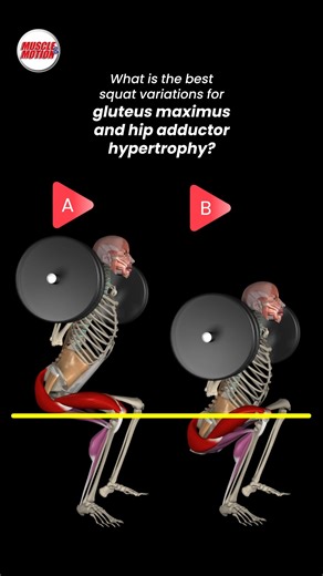 324K views · 1.4K reactions | What is the best squat variation for...